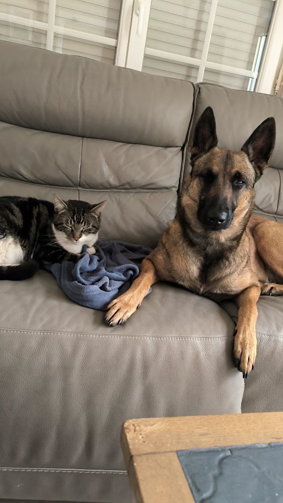 Triska (Sans Affixe)